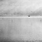 Misty morning fishing II