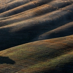 The guardian of the hills ..