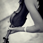 Violino divino__