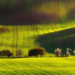 Green land
