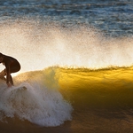 surfing on a gold wave 