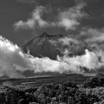 PICO ISLAND - AZORES