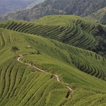 Longji Rice Terrace