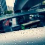 A Rainy Day in Tokyo