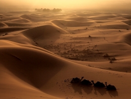 Sunset in Erg Chebbi 