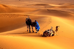 sahara desert 