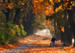 Autumn in Poland 