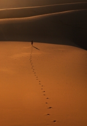 Desert Walk 