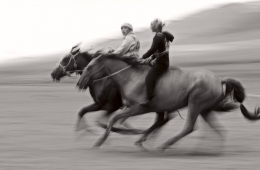 Horse racing nomads 