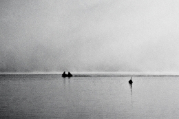 Misty morning fishing_ 
