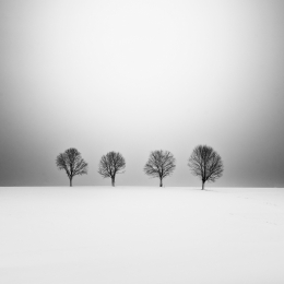 Four Trees 