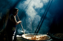 the Cook 