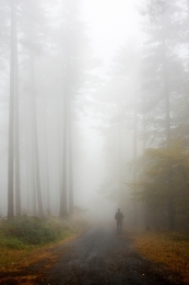 Caminante en la niebla 