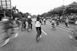 bicycle parade 