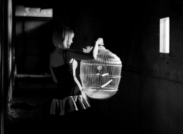 cage for the birds___ 