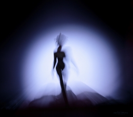 Lady in the dark 