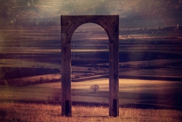 the gate 