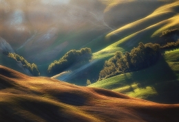 In The Light Of Tuscany 