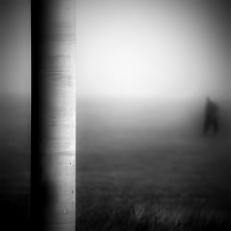 A presence in the mist .. 