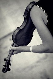 Violino divino__ 