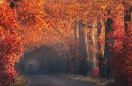 Autumn tractor 