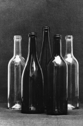 bottles 