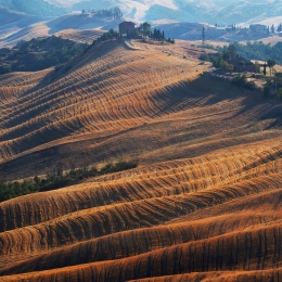 Tuscan hills .. 