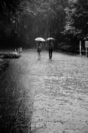 Two in rain 