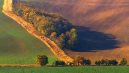 South Moravia magic landscape 