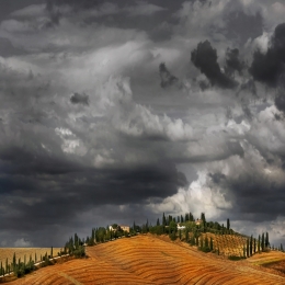 Tuscan contrast .. 