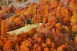 autumn just___ 