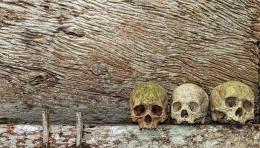 .: three skulls :. 