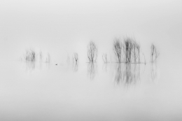 Misty lake 