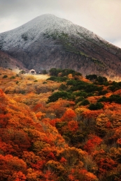 The hill of autumnal leaves 
