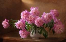 Still life with peonies 