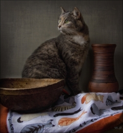 Still Life with Jug and a cat 