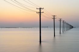 Telephone Poles Growing from the Sea 