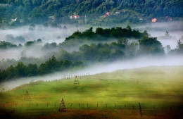 fog,meadows and wood  