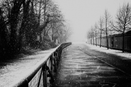 Endless winter II 