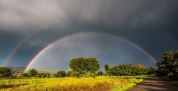 Dopo il temporale 