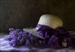The lavender 