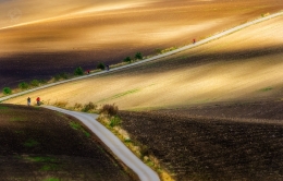 bicyclists 