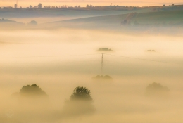 foggy fields 