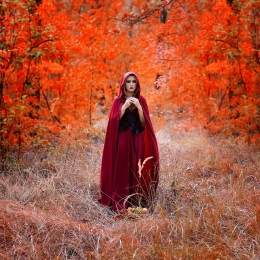 Red riding hood,4 