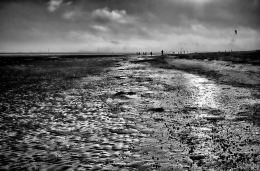 Sunday walk on the beach 