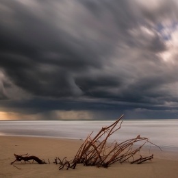 Il mare d'inverno 