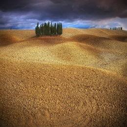 My tuscan landscapes.. 