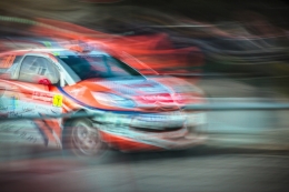Rally de Portugal 2014 