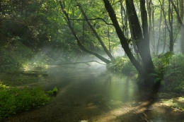 Crepuscular rays 