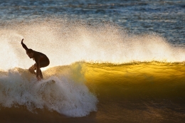 surfing on a gold wave  